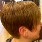 Here we have added highlights and tint to this short hair style